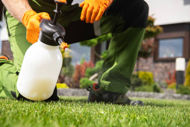 Best Pest Prevention Services  in Three Oaks, MI