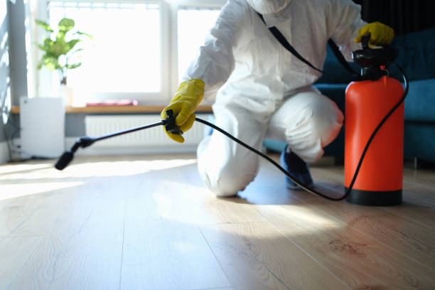 Flea Control Services in Three Oaks, MI