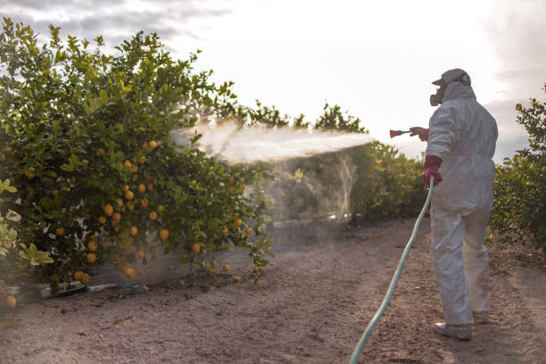 Best Best Pest Control Companies  in Three Oaks, MI