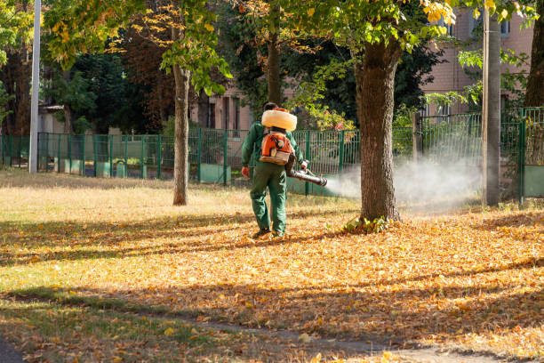 Best Affordable Pest Control Services  in Three Oaks, MI
