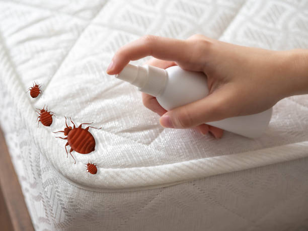 Best Best Pest Control Companies  in Three Oaks, MI