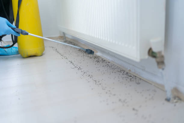 Best Termite Control Services  in Three Oaks, MI