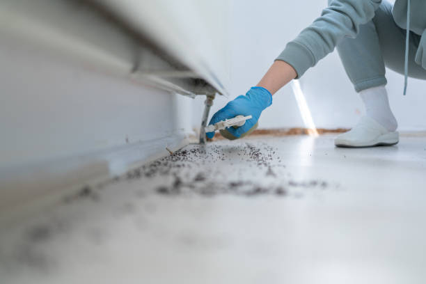 Best Wildlife Control Services  in Three Oaks, MI